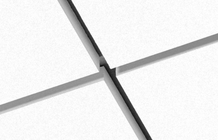 Focus SQ