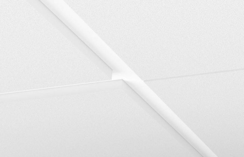 Focus Fixiform E